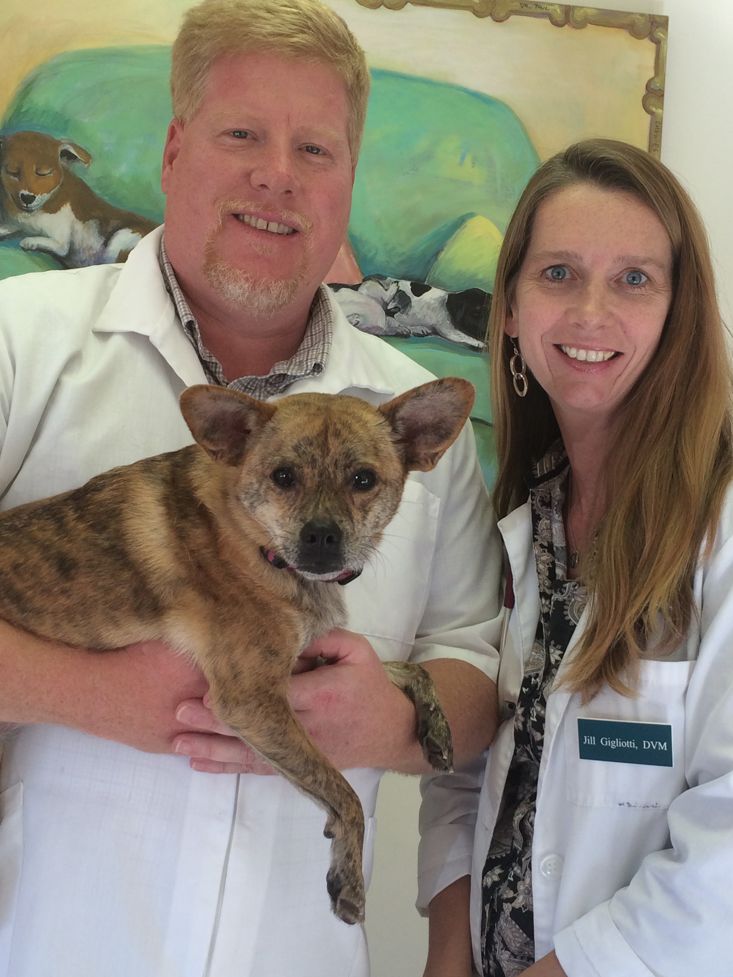 Forest Hills Veterinary Hospital - Veterinarian in Wilmington, North  Carolina